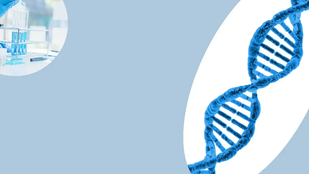 CleaScrip™ T7 RNA Polymerase (low dsRNA, 250 U/μL) - 250 KU