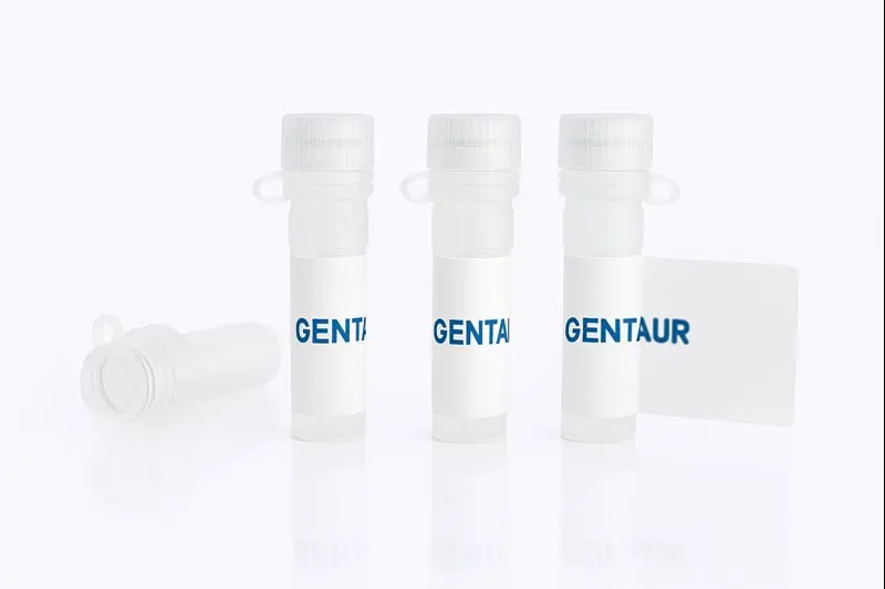 Ferritin Conjugated Griffonia simplicifolia Lectin -GS-II- 