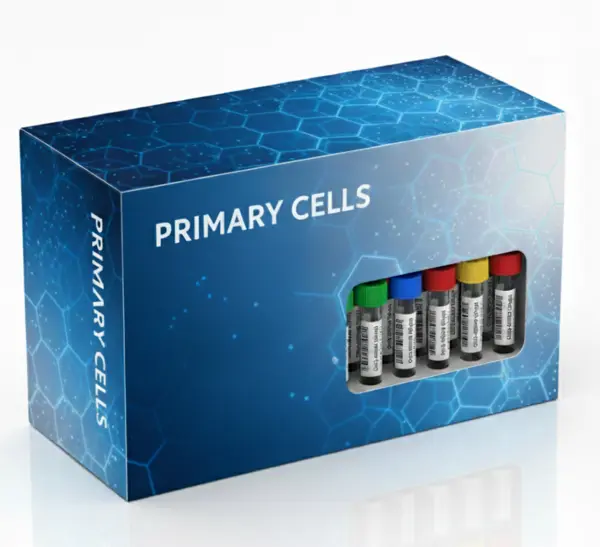 Female Rhesus Monkey Cryosuspension Hepatocytes