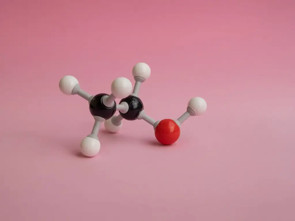 Anti Iba1, Rabbit (for Western Blotting)