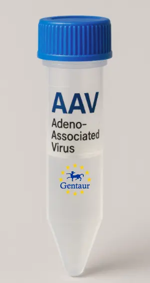 ARMC3 AAV Vector (Mouse) (CMV)