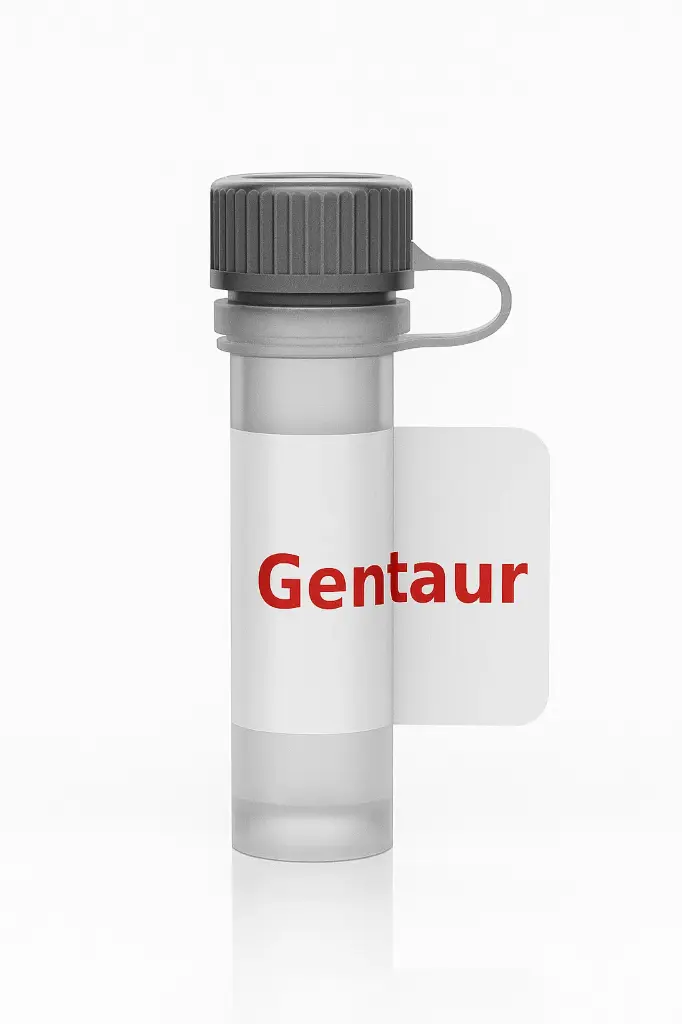 [ABSPA-1609] Rabbit Anti-Elongation Factor 1A2 Binding Protein PAb