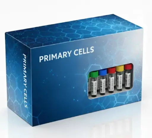 [TCC-25206] Cryopreserved, Subcutaneous Breast Preadipocytes, 1 million